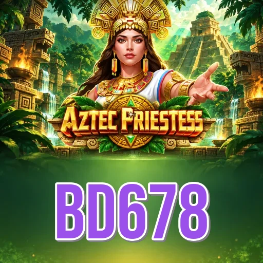 bd678 Security FAQ
